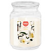 Bolsius Smooth Vanilla Apothekerduftglas in Einzelansicht