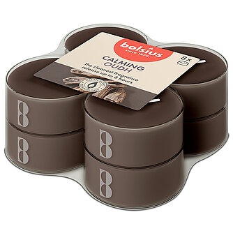 Artikelvorschau True Scents Maxi-Lichte Clear Cup - Oud Wood (8er Pack)
