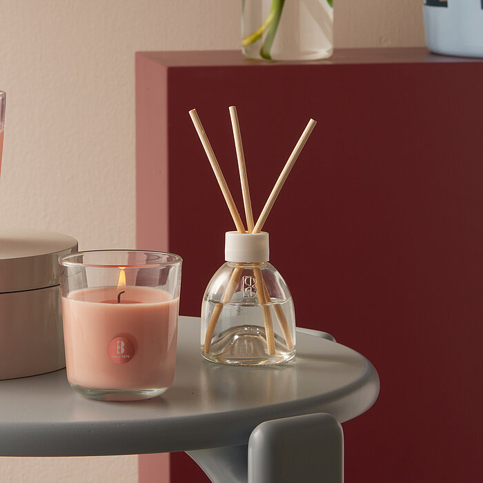 Bolsius Raumduft True Scents mit Duftstäbchen im Wohnambiente