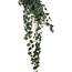 MICA Hängepflanze Scindapsus 129cm