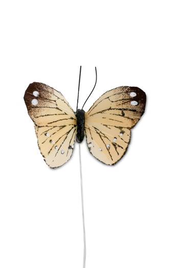Steingaesser Feder Schmetterling 5 cm - gelb (12 Stück)