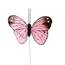 Steingaesser Feder Schmetterling 5 cm - rosa (12 Stück)