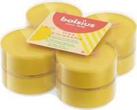 Bolsius: Maxi-Lichte True Citronella (8er Pack)