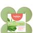 True Scents Maxi-Lichte Clear Cup - Green Tea (8er Pack)